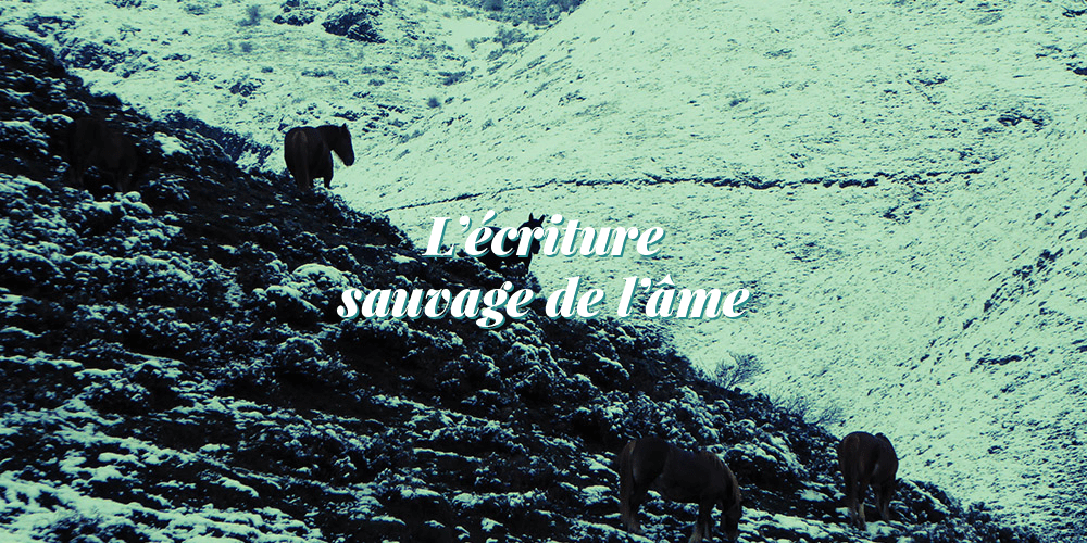 L’écriture sauvage de l’âme