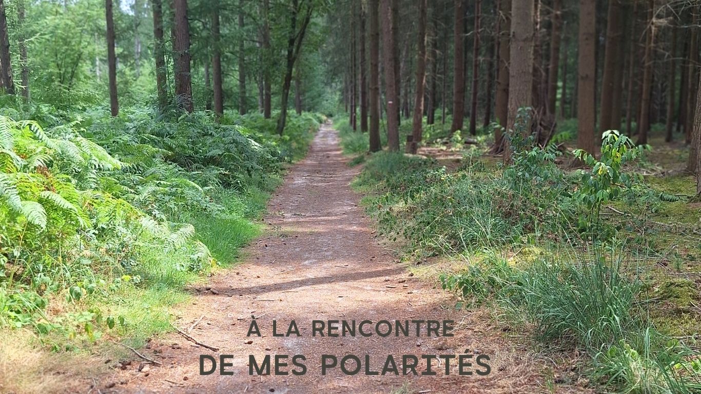 à la rencontre de mes polarités